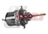 NEOPL 11062533 Spring-loaded Cylinder